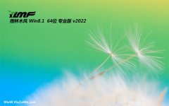 雨林木风win8.1电脑城官网版64位v2021.12